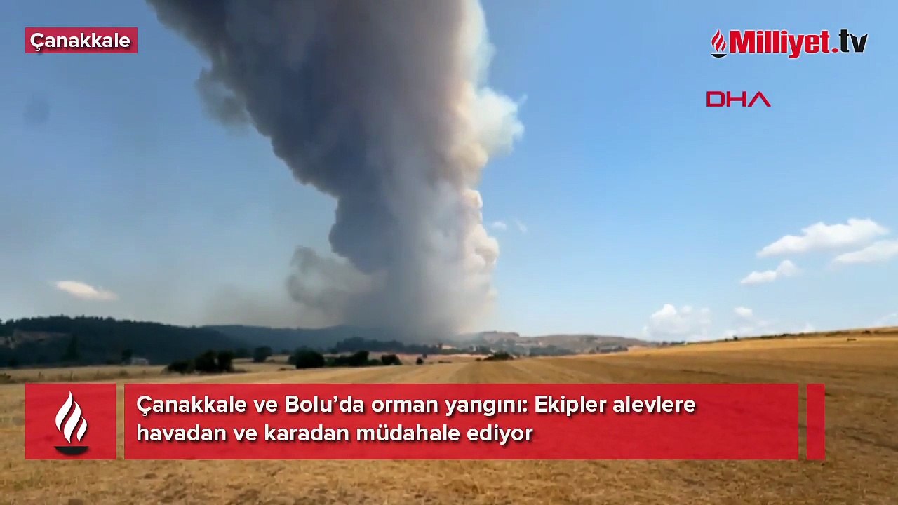 İki ilde orman yangını! Havadan ve karadan müdahale ediliyor
