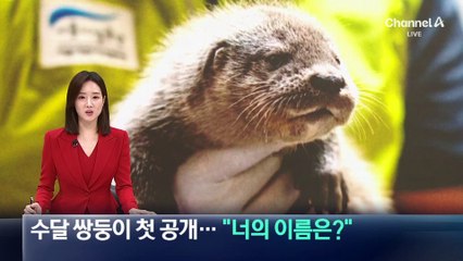 서울어린이대공원 수달 쌍둥이 첫 공개…“너의 이름은?”