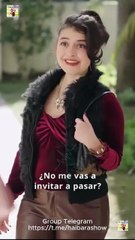 La Virgen Cautiva Del Alfa Completo S Shorttv