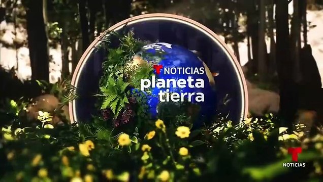 Alzan la voz sobre la vulnerabilidad del glaciar Perito Moreno _ Noticias Telemundo