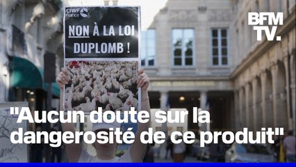 Loi Duplomb: le Conseil constitutionnel censure la réintroduction de l'acétamipride