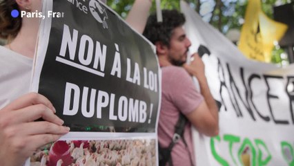 La loi Duplomb censurée en France : la réintroduction d'un pesticide de la famille des néonicotinoïdes en cause