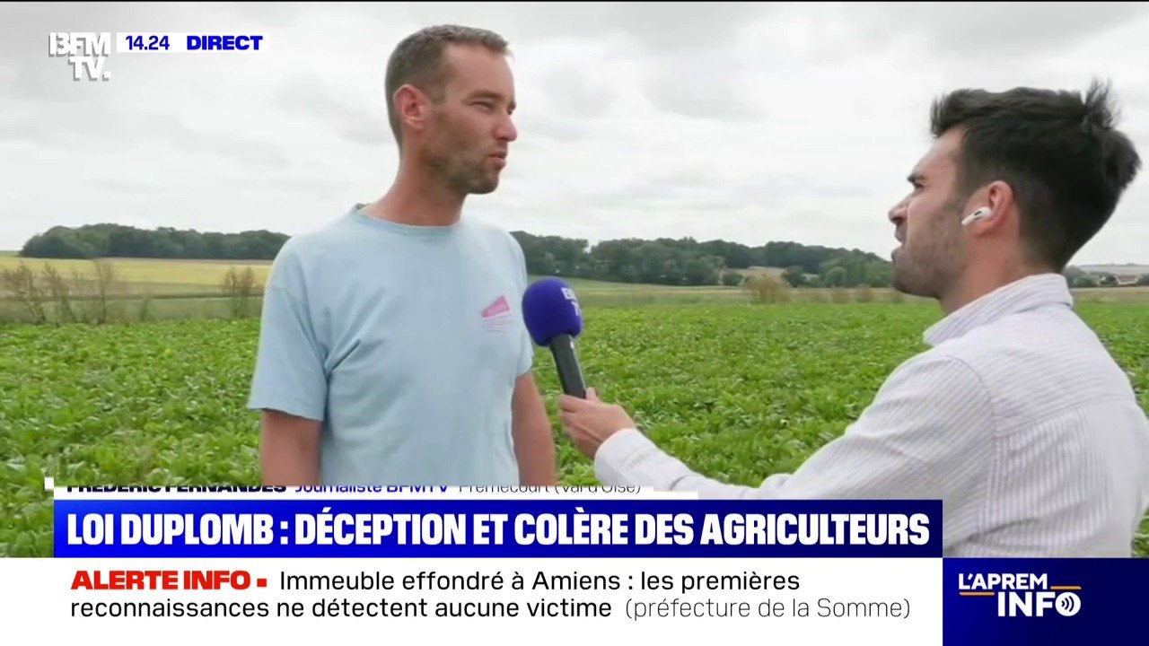 Loi Duplomb: la "consternation" d'un agriculteur du Val-d'Oise après la censure sur l'acétamipride
