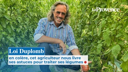Loi Duplomb : en colère, cet agriculteur nous livre ses astuces pour traiter ses légumes