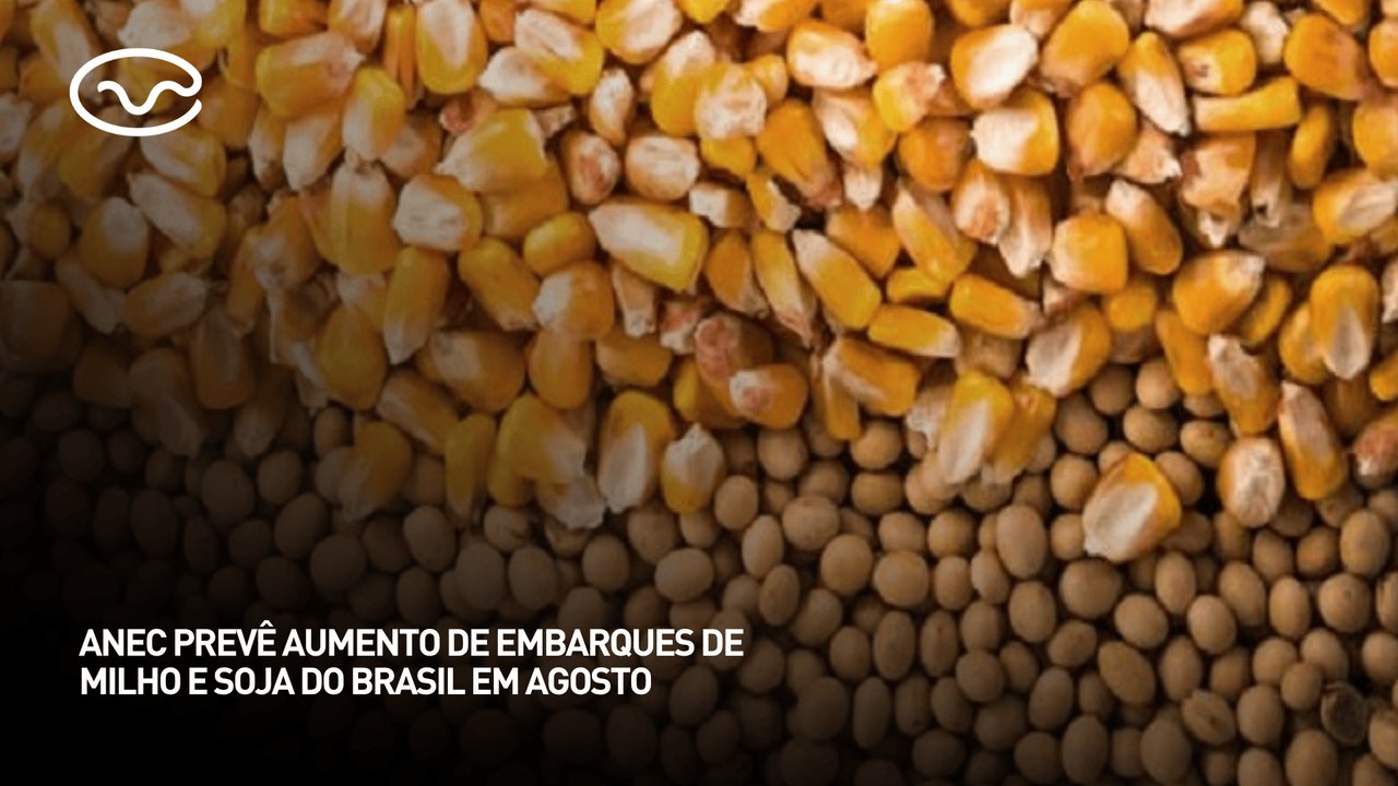 ANEC prevê aumento de embarques de milho e soja do Brasil em agosto