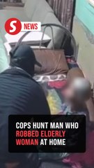 Police hunt masked man who robbed woman in her 90s in Johor