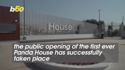 Animal Lovers Pay Attention! Introducing This Giant Panda House