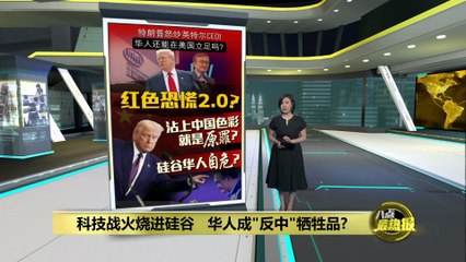 特朗普公开点名英特尔CEO陈立武下台，硅谷华人高管或陷危机 🚨
