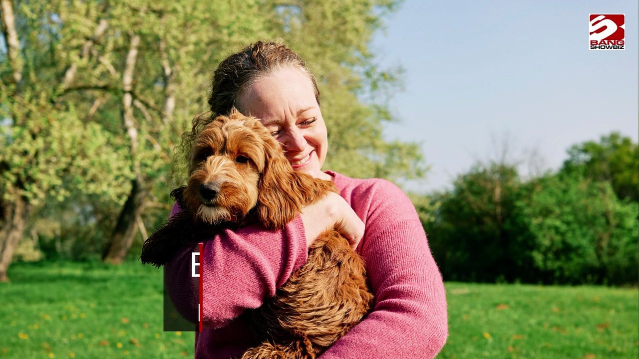 Enthüllt: Das Land mit den meisten Hundeliebhabern