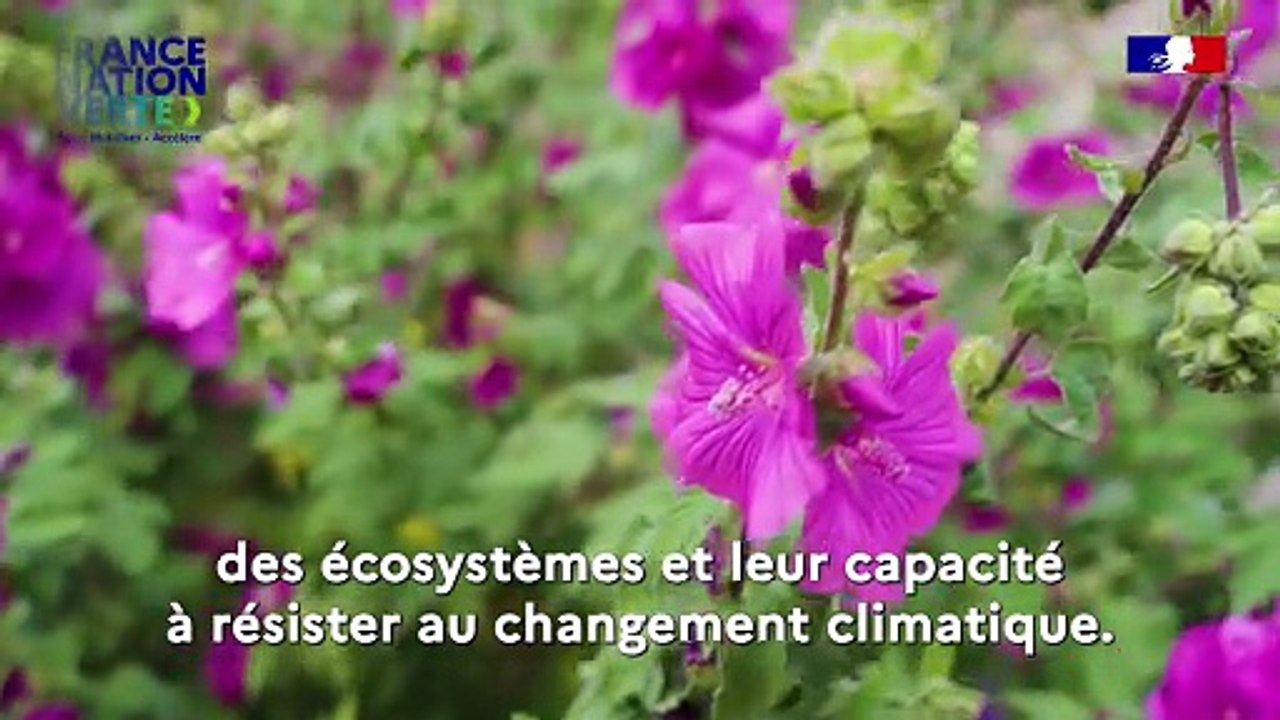 Plan de transformation écologique de l'État : mieux préserver les écosystèmes (4/5)