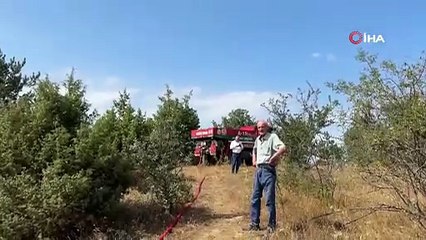 Kastamonu’da orman yangını