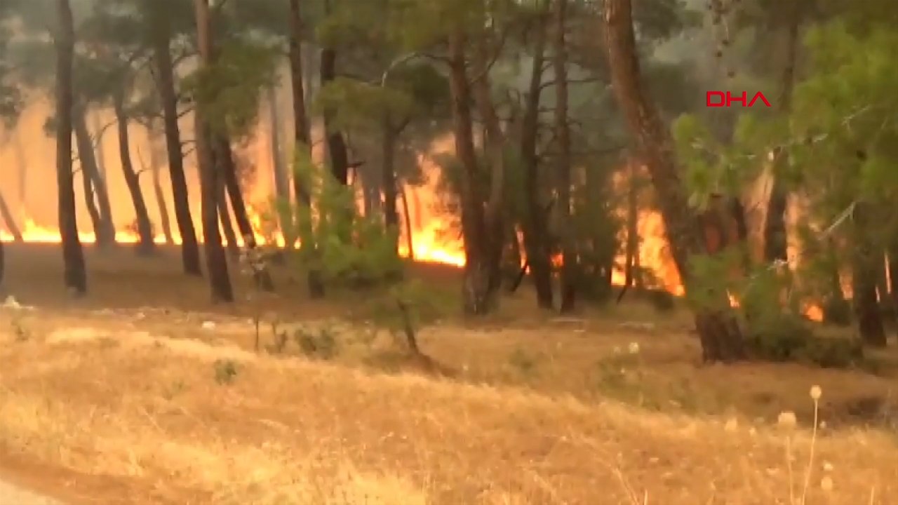 Çanakkale’nin Bayramiç ilçesinde orman yangını