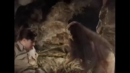 Trending view : The Jungle princess part 3