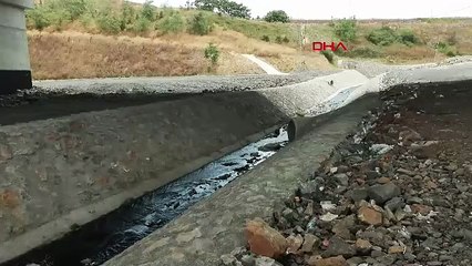 İstanbul'da korkutan tablo! Bu dereden su içen hayvanlar ölüyor