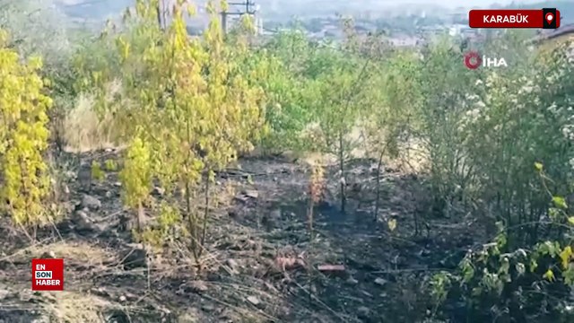 Karabük'te otluk alanda çıkan yangın evlere sıçramadan söndürüldü
