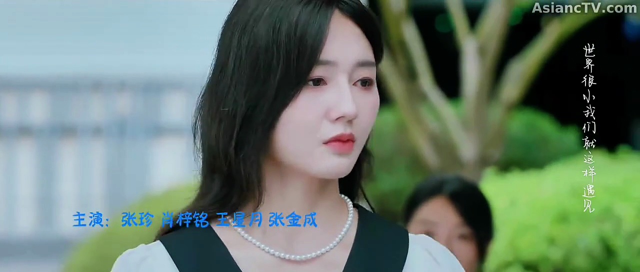  Substitute for love episode 24 english sub