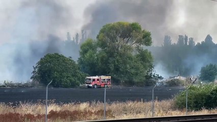 Bomberos de Valladolid sofocan un incendio en una chopera