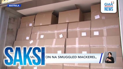720 metric ton na smuggled mackerel, nakumpiska | Saksi
