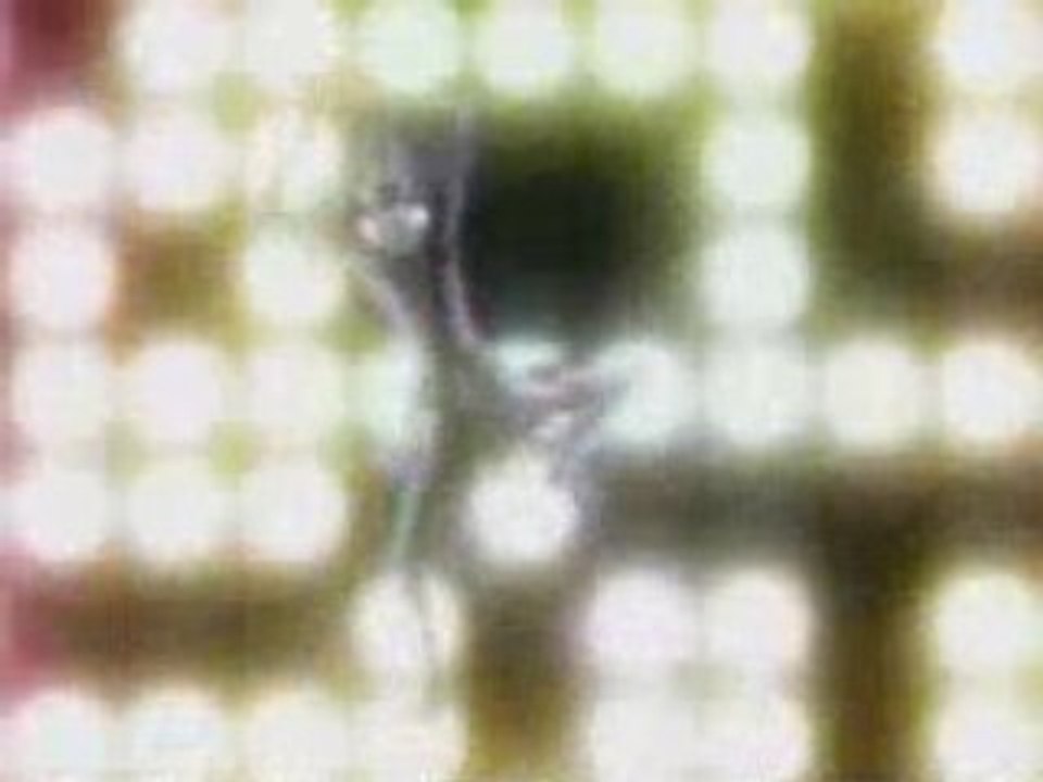 Op Death Note 2nd