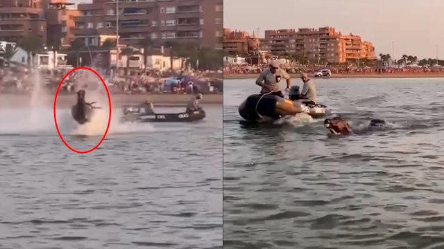 Un caballo corre hacia el mar desbocado y cunde el pánico en Sanlúcar de Barrameda (Cádiz)