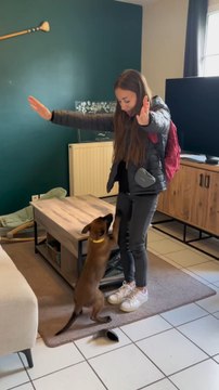 Tant que c’est une adoption responsable et que vous êtes assez informés, cette aventure c’est le feuuuuu ❤️‍🔥