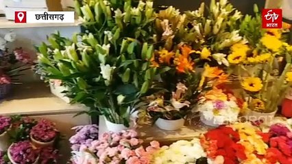 रक्षाबंधन पर गिफ्ट बाजार, अपनी बहनों के लिए खरीदें खास उपहार, हर रेंज में तोहफा मौजूद