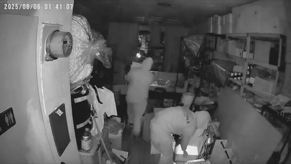 Labubu thieves steal thousands of dollars’ worth of collectibles from LA store