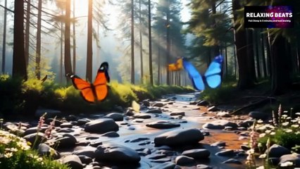 "Mind Relaxation Music – Soothing Sounds for Peace, Sleep & Stress Relief"