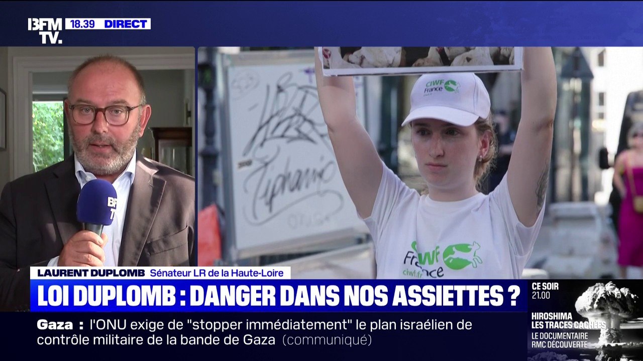 Loi Duplomb: "La censure de l'article 2 est paradoxale", déclare Laurent Duplomb, sénateur LR de la Haute-Loire et auteur de cette loi