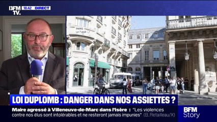 Loi Duplomb: "Nous serons dans une situation de concurrence déloyale", estime Laurent Duplomb, sénateur de la Haute-Loire (LR)