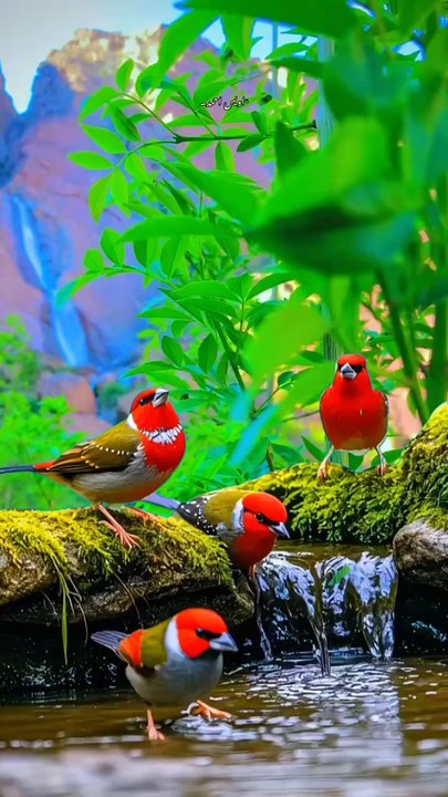 #Beauty World