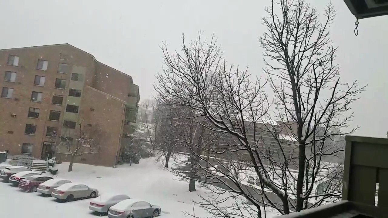 Snowfall