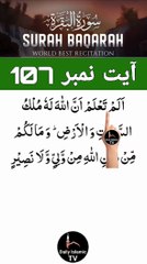Al-Quran - Surah 2 - Al-Baqara - Ayah 107 | daily islamic tv