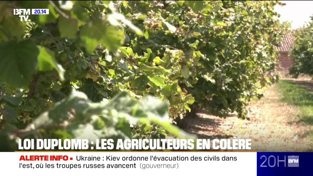 Loi Duplomb: les agriculteurs en colère suite à la décision du Conseil constitutionnel