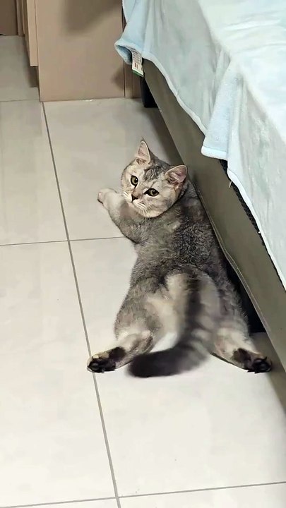 Mira mira ya hora no estoy 😽✨