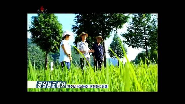 Notícias de várias regiões