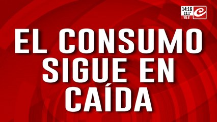 El consumo sigue en caída: la gente cambia sus hábitos por la crisis