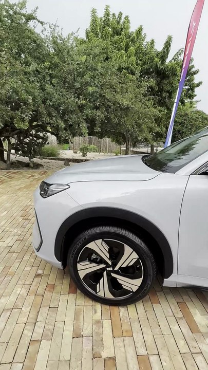 ORA 03 de Great Wall Motors