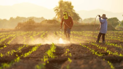 Colombia envejece: el campo y el transporte, al borde de una crisis laboral