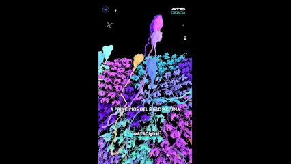 Una mosca con ojos blancos que revolución o la genética