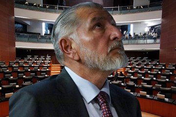 ¿Quién y por qué respalda a Adán Augusto López ?