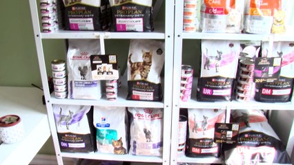 Plus de 3700 animaux soignés par Communo-Vet en 2024