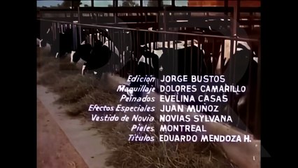 Cuernos Debajo De La Cama | Pelicula Mexicana Completa