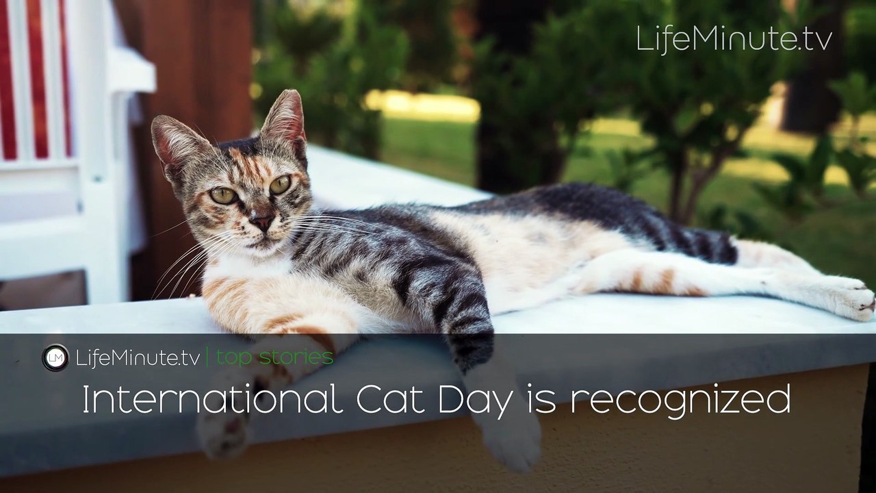 Kelly Clarkson's Ex-Husband Brandon Blackstock Dead at 48, Disney and Lucasfilm Settle Lawsuit with Actress Gina Carano Over The Mandalorian Firing