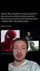Un combat Punisher, Hulk et Spider-man ?