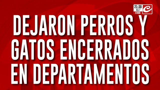 Dejaron perros y gatos encerrados en departamentos.