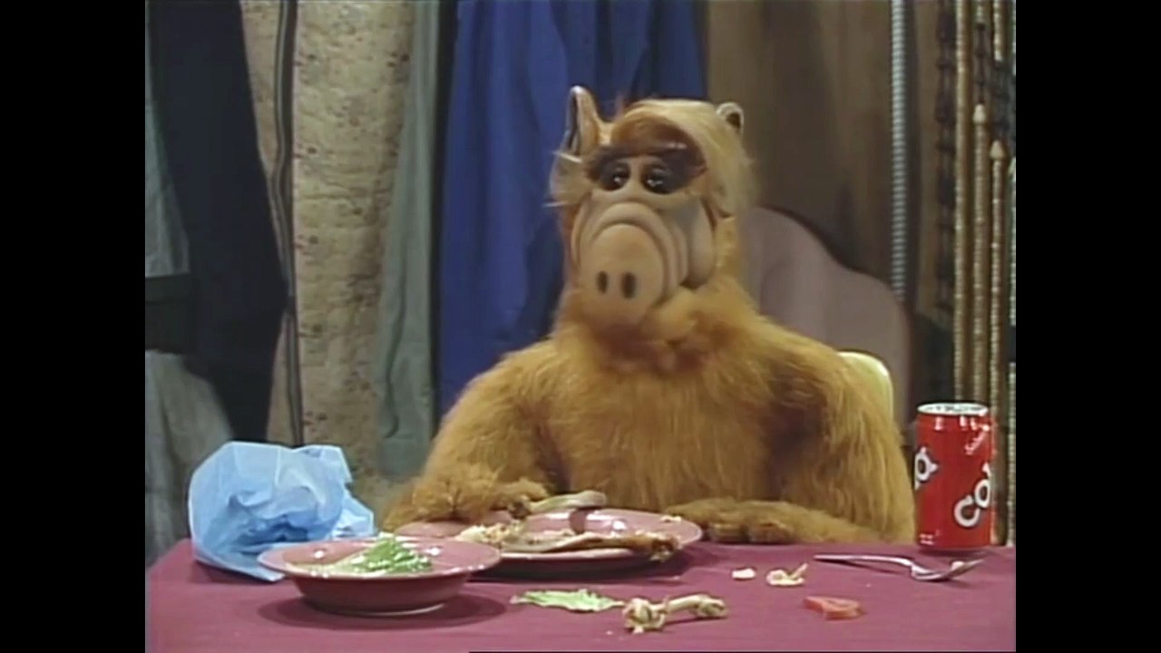 ALF Staffel 3 Folge 23 'Mutter Langfinger' #Deutsch #HD
