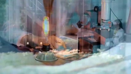 ENG SUB ｜ Put Your Head On My Shoulder ｜ 致我们暖暖的小时光 ｜ EP15 ｜  Xing Fei, Lin Yi