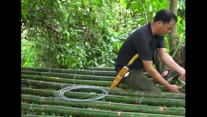 Building a Stunning Bamboo House on Top of a Giant Tree Day 1 😱