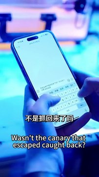 Ending In her previous life, she was entangled in sickly love and wrong love. It was not until she lost him that she realized that Lu Minghui's love for her was never fake. After rebirth, she took the initiative to approach him to clear up the misundersta